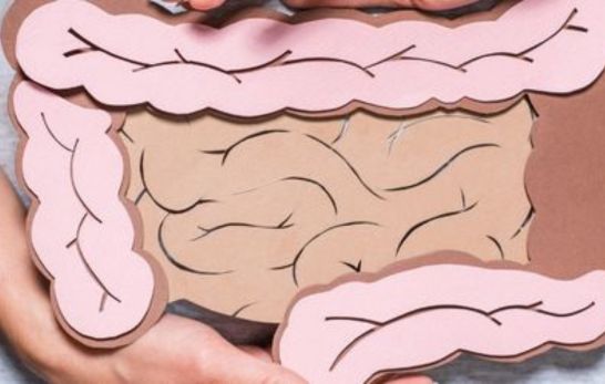 Mit Ernährung und der transanalen Irrigation die Verdauung unterstützen