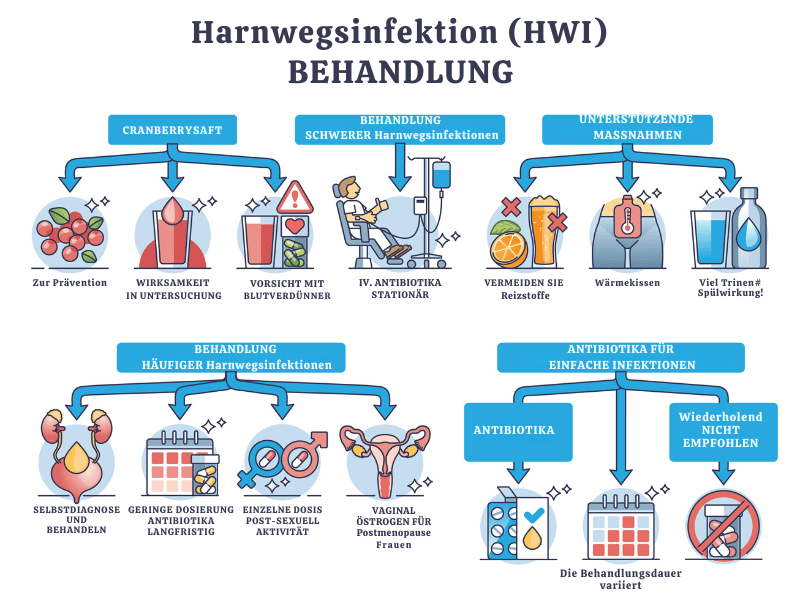 Harnwegsinfektionen Infografik